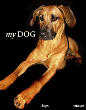 обложка книги My Dog книга My Dog, автор: John Smith